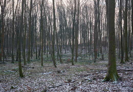 TX_24_01_F5080
