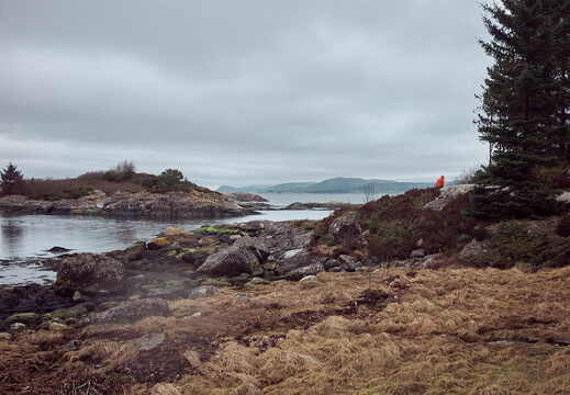 TX_24_03_F5424