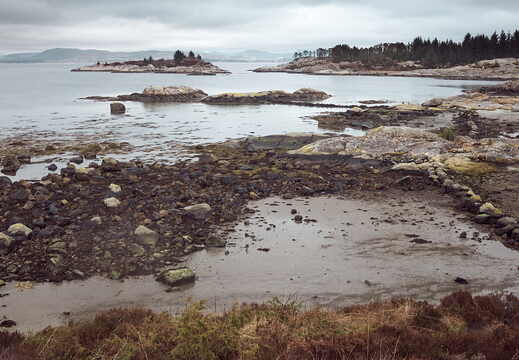 TX_24_03_F5433