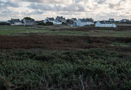 TX_19_10_F7161