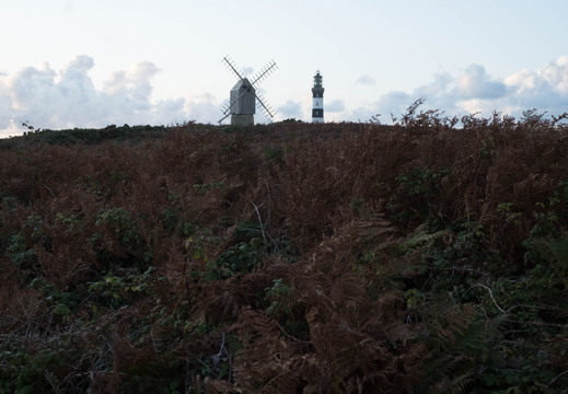 TX_19_10_F7173