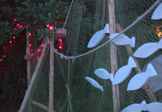 TX 12 07 L1049288.DNG