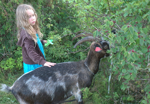 TX 14 07 L1079699.DNG