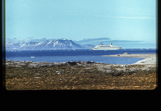 TX skan 003-3