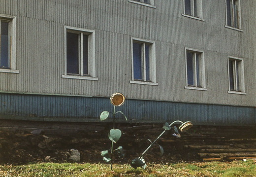 TX skan 002-2