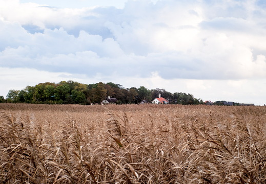 TX 06 10 5960 EDT