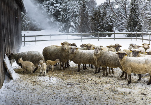 TX 11 01 L1020404 EDT