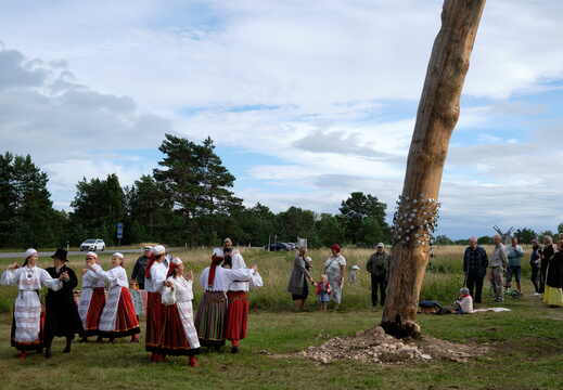 Tubala vaia uuendamine