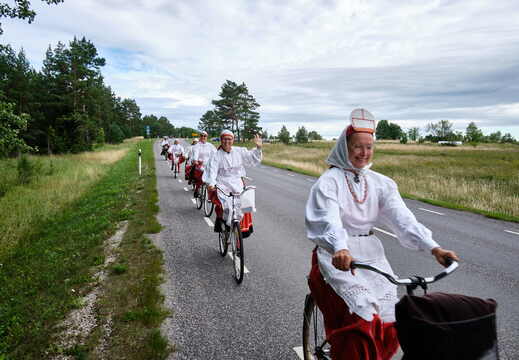 Tubala vaia uuendamine