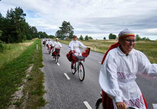 Tubala vaia uuendamine