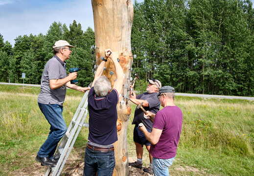 Tubala vaia uuendamine