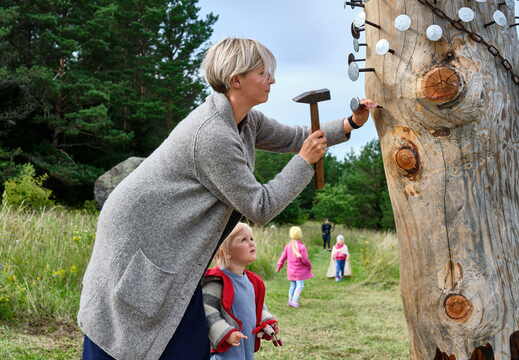 Tubala vaia uuendamine