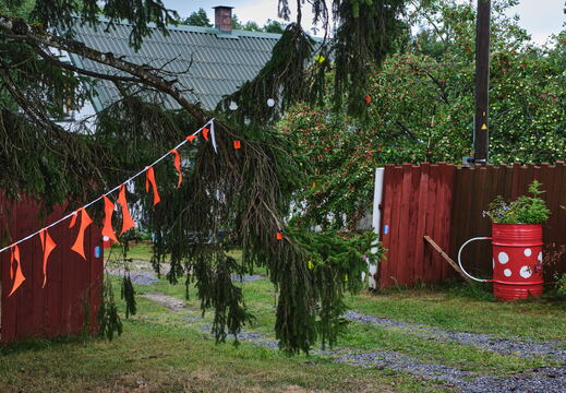 TX_24_08_F3867